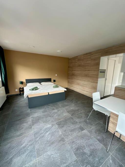 Apartment Palac Anezka C1 *