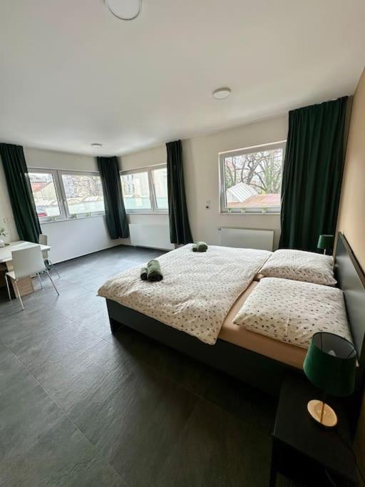 Apartment Palac Anezka C1